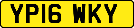 YP16WKY