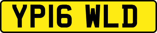 YP16WLD