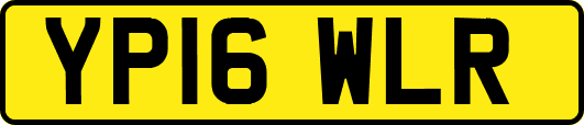 YP16WLR