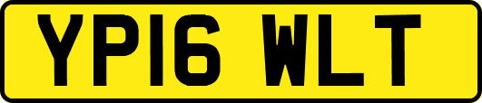 YP16WLT