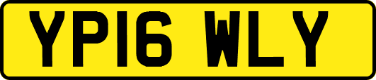 YP16WLY