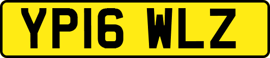 YP16WLZ