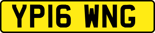 YP16WNG