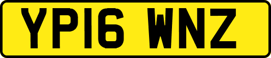 YP16WNZ