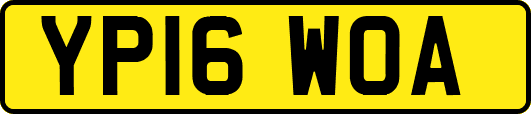 YP16WOA