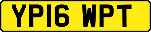 YP16WPT