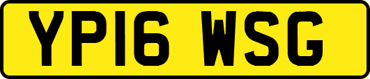 YP16WSG