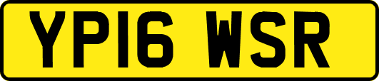 YP16WSR