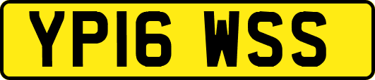 YP16WSS