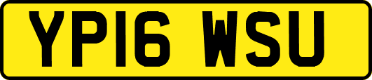 YP16WSU