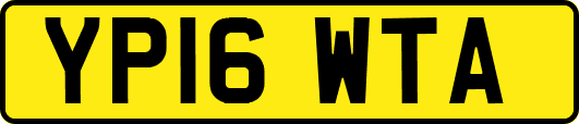 YP16WTA