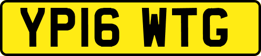 YP16WTG