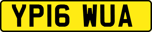 YP16WUA