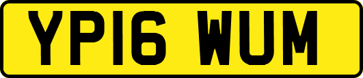 YP16WUM