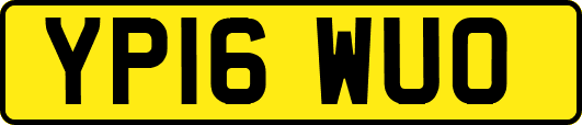 YP16WUO