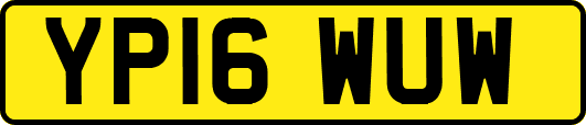 YP16WUW