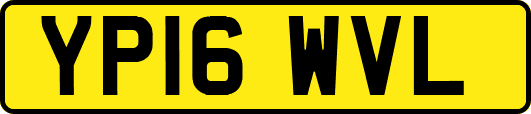YP16WVL