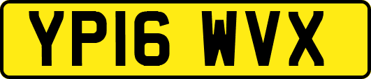 YP16WVX