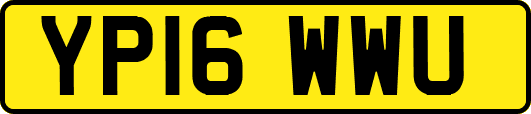 YP16WWU