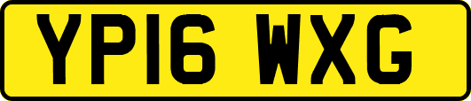 YP16WXG