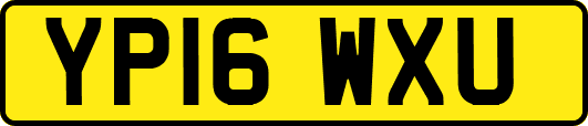 YP16WXU