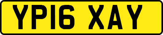 YP16XAY