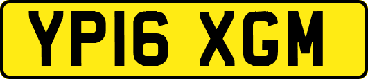 YP16XGM