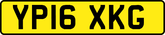 YP16XKG