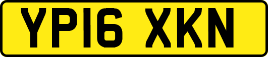 YP16XKN