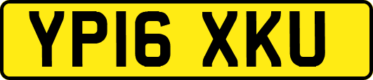 YP16XKU