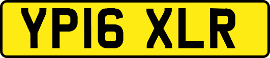 YP16XLR