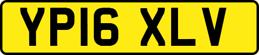 YP16XLV