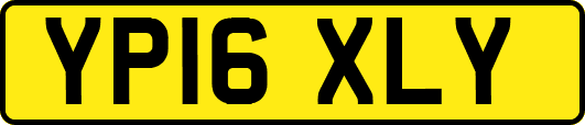 YP16XLY