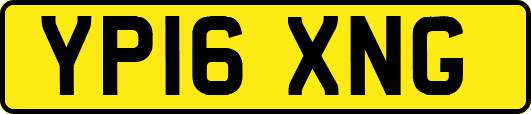YP16XNG