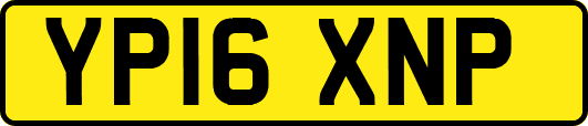 YP16XNP