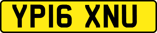 YP16XNU