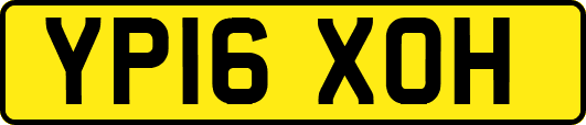 YP16XOH