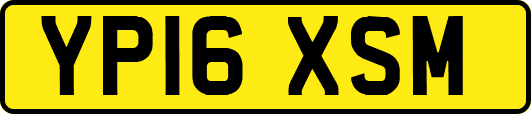 YP16XSM