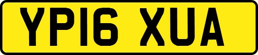 YP16XUA