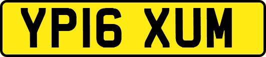 YP16XUM