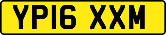 YP16XXM