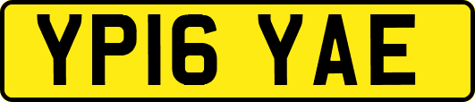 YP16YAE