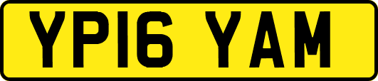 YP16YAM