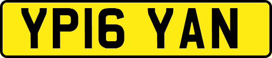 YP16YAN