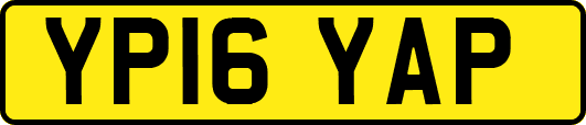 YP16YAP