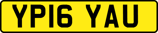 YP16YAU