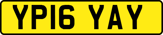 YP16YAY
