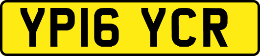 YP16YCR