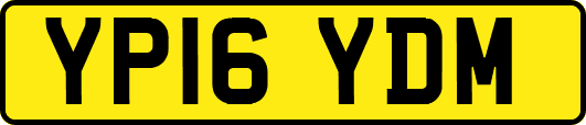 YP16YDM