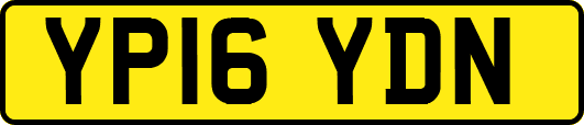 YP16YDN